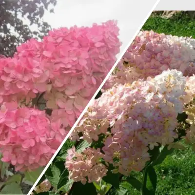 Комплект МНОГОГРАННОСТЬ в Пинске