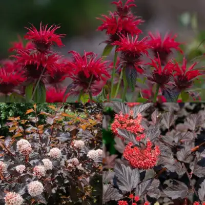 Комплект ОГНЕННЫЙ МИКС в Пинске