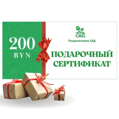 Подарочный сертификат на 200 BYN в Пинске