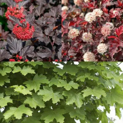 Комплект ОСЕННИЙ КОСТЕР в Пинске