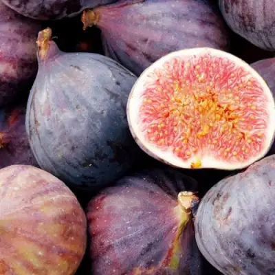 Инжир МУАССОН в Пинске