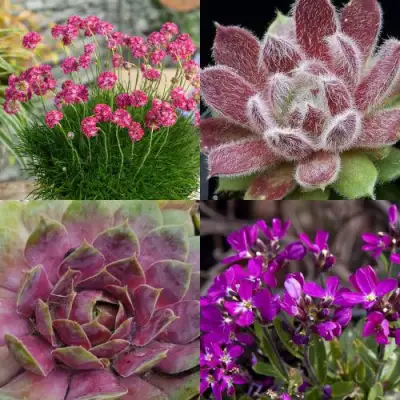 Комплект МИНИ САД в Пинске