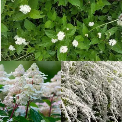 Комплект СКАНДИНАВСКИЙ СТИЛЬ в Пинске