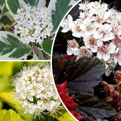 Комплект ЯРКАЯ ВСПЫШКА в Пинске