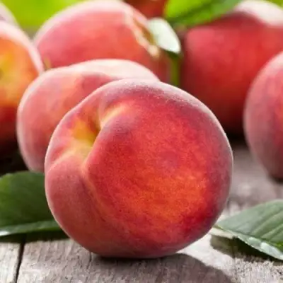 Персик МАЙСКИЙ ЦВЕТОК в Пинске
