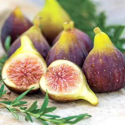 Инжир НИКИТСКИЙ в Пинске