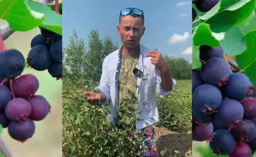 Превью видео