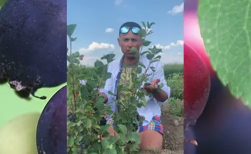 Превью видео