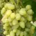 Виноград ЗАРНИЦА в Пинске
