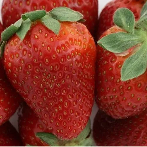 Клубника ФЛАМИНИЯ в Пинске