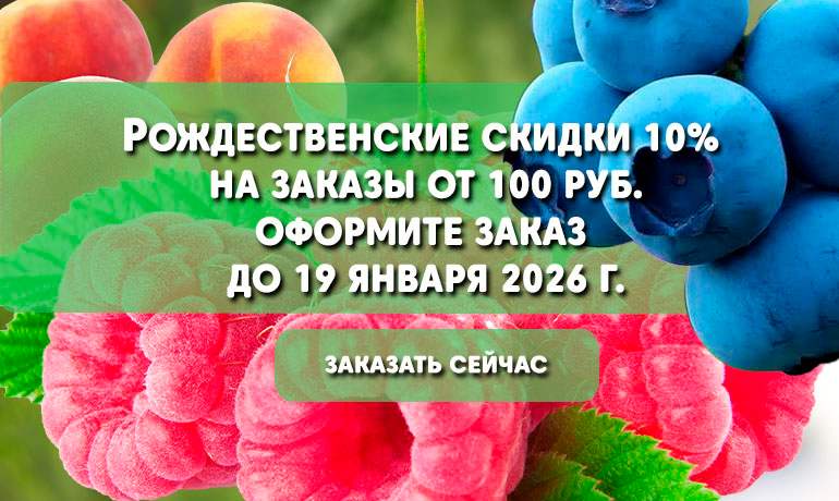 Рождественские скидки 10% до 19.01.2026