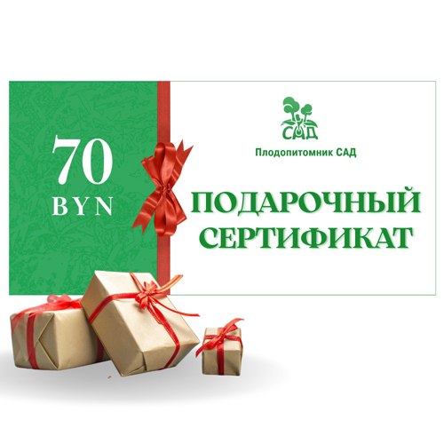 Подарочный сертификат на  70 BYN в Пинске
