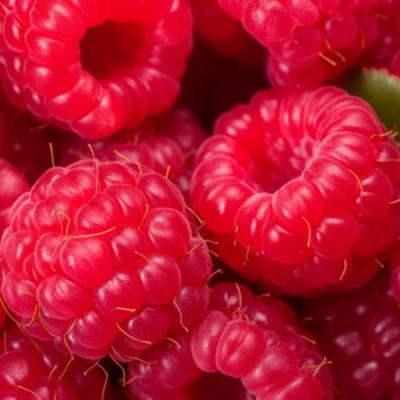 Красная в Пинске