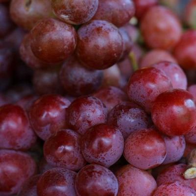 Красный в Пинске