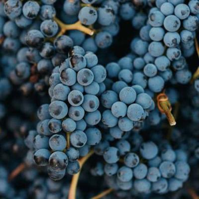 Технический в Пинске