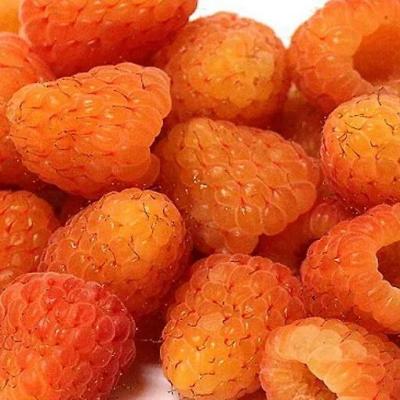 Оранжевая в Пинске