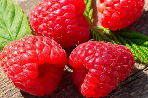 красная малина.jpg